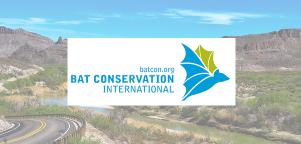 Bat Conservation International logo